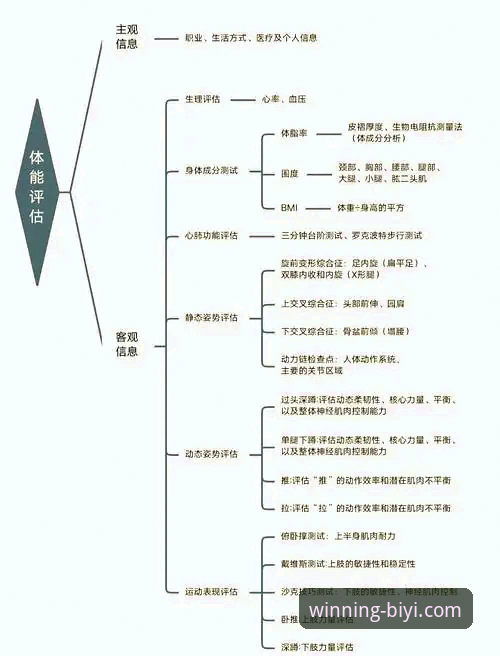必一运动口碑深度分析：从用户体验到平台实力的全面评估