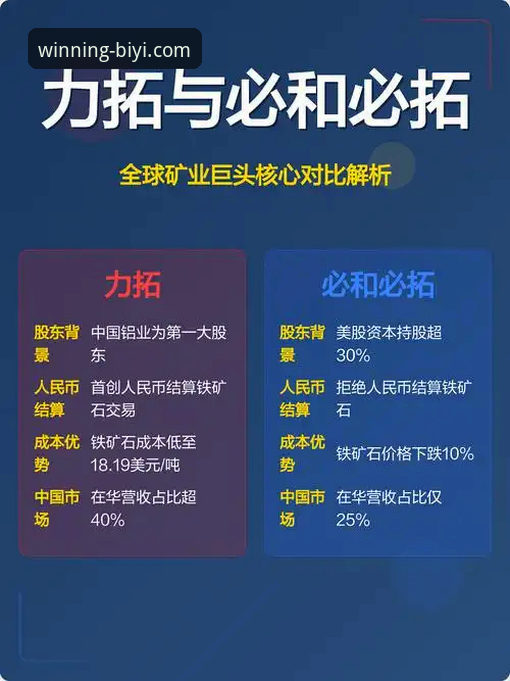 必一运动平台使用指南：深度对比分析帮你做出明智选择
